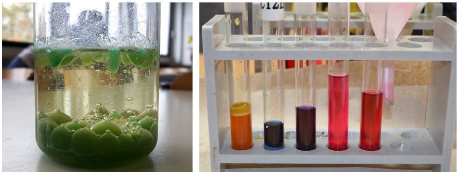 files/1_OSG_Fotos_Dokumente/3_Unterricht/2_Fachschaften/Chemie/Bild 1u2.JPG