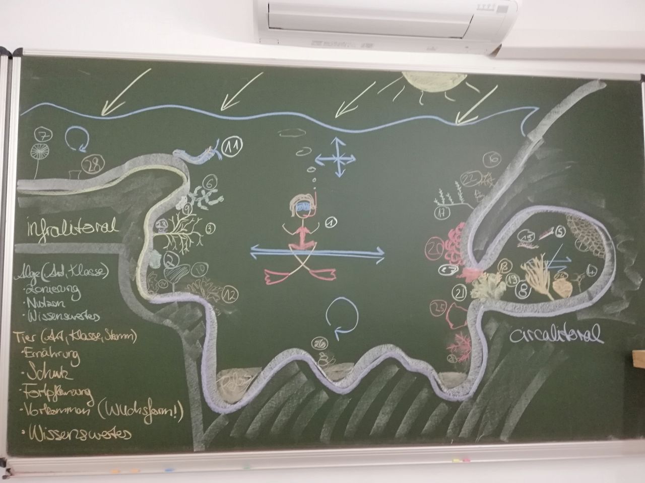 files/1_OSG_Fotos_Dokumente/3_Unterricht/Klassenfahrten und Exkursionen/Der Meeresbiologische Kurs vom Institut fuer Marine Biologie.jpg