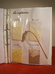 files/2_hbfis_Fotos_Dokumente/3_Angebote/Austauschprogramme/Boul5_k.jpg
